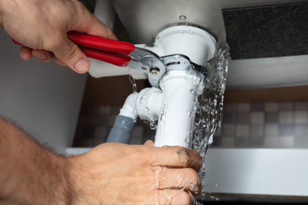 Best 24/7 water damage repair  in Shoh, IL