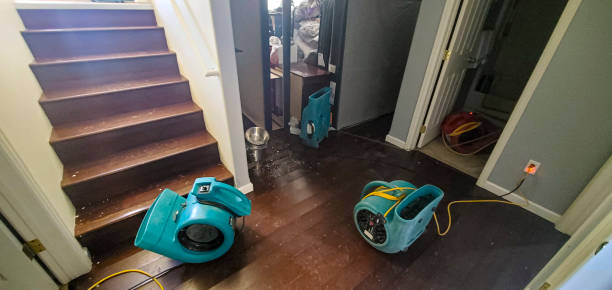 Best Residential water damage restoration  in Shoh, IL