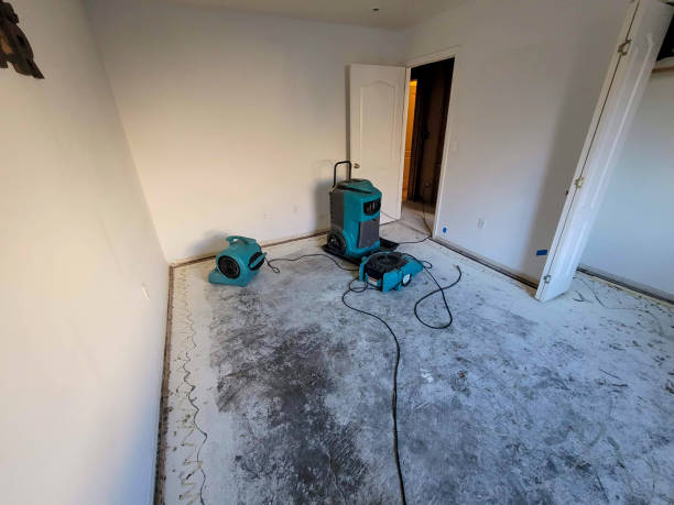 Best Local water damage restoration  in Shoh, IL