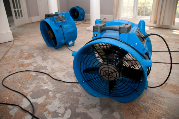 Best 24/7 water damage repair  in Shoh, IL