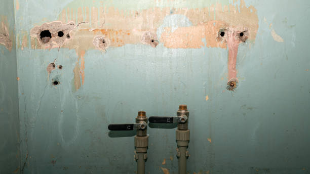 Professional Water damage restoration in Shiloh, IL