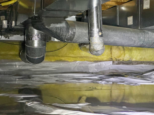 Best Water damage restoration near me  in Shoh, IL