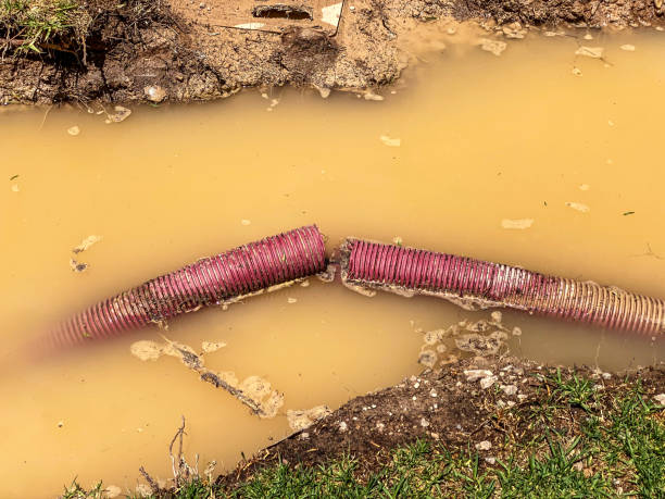 Carpet water damage restoration in Shiloh, IL