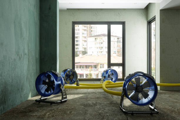 24/7 water damage repair in Shiloh, IL
